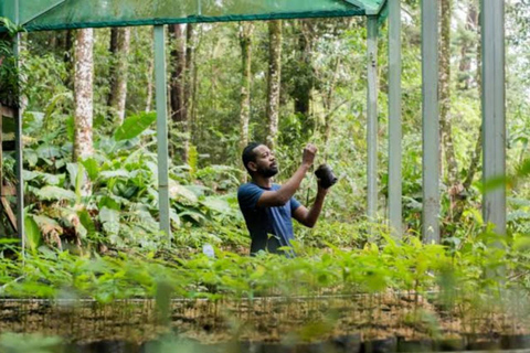 Zanzibar: Zipline Adventure in masingini forest tour Private tour with Hotel pick up & drop-off with entry ticket