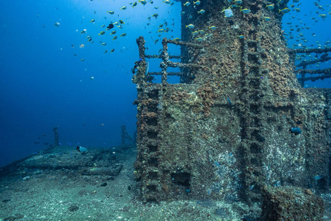 Sunshine Coast : Plongée sous-marine sur l&#039;épave de l&#039;ex-HMAS de Brisbane