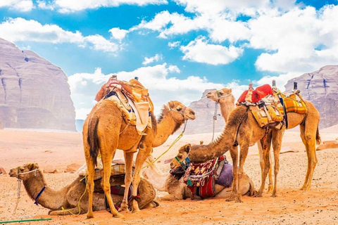 Jordan: 6-Days – Amman, Jerash, Petra, Wadi Rum & Dead Sea