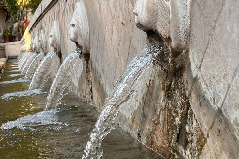 Excursion privée en jeep dans les gorges de Kourtaliotiko, à Preveli et au village de SpiliVisite de groupe à Kourtaliotiko, à la plage de palmiers de Preveli et au village tra