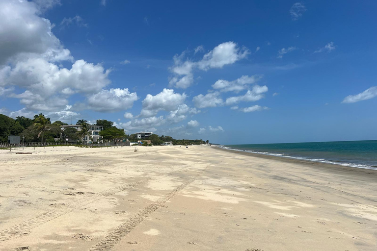 Città di Panamá: Tour guidato di un giorno