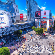Tokyo Icons & Local Life: Private Guided Experience