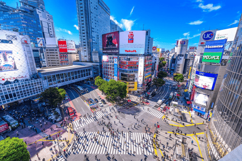 Tokyo Icons & Local Life: Private Guided Experience - Image 3