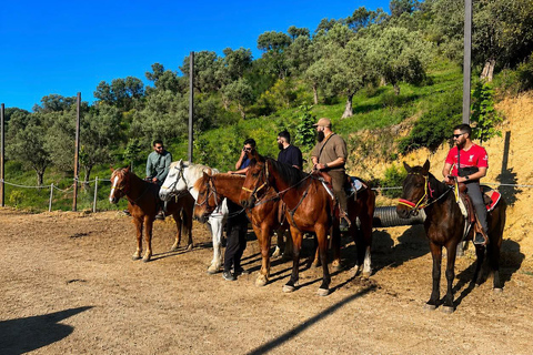 Tirana, Durrës, or Golem: Countryside Horseback Riding Tour