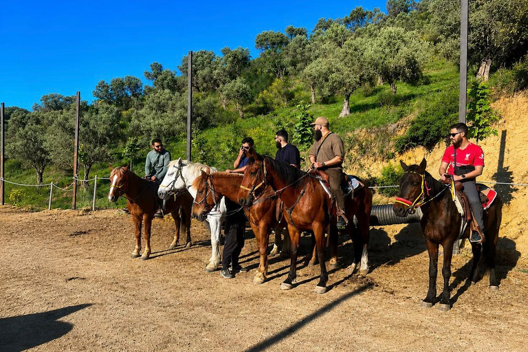 Tirana, Durrës, or Golem: Countryside Horseback Riding Tour