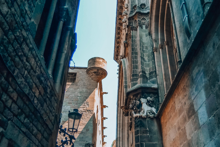 Barcelona: Introduction to the Gothic Quarter Walking Tour Private Tour (Max 20 Adults)