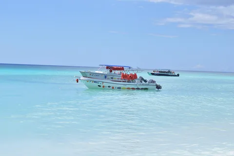 De Punta Cana: Viagem de 1 dia à Ilha Saona com almoço buffet