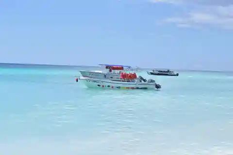 De Punta Cana: Viagem de 1 dia à Ilha Saona com almoço buffet