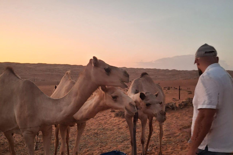 Mascate: Passeio de camelo ao pôr do sol no deserto de Bidiya com transfer