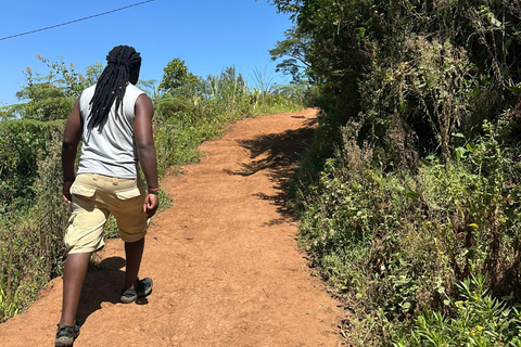 Moshi/Arusha: Chemka Hot Springs Materuni Waterfall Day tour 2 in 1 : Materuni & Chemka tour from Moshi