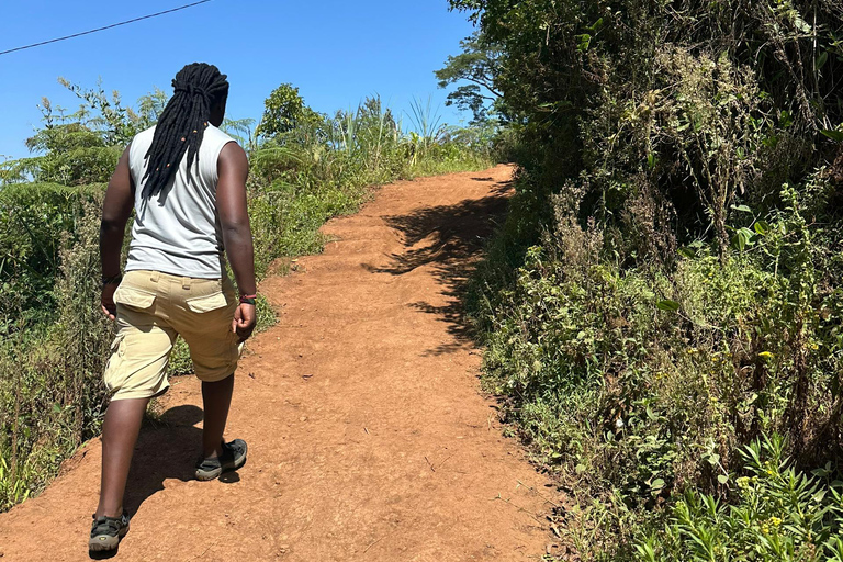 Moshi/Arusha: Chemka Hot Springs Materuni Waterfall Day tour 2 in 1 : Materuni & Chemka tour from Moshi