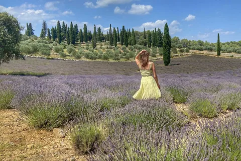 "Paris Can Wait" - Your Road Trip Itinerary