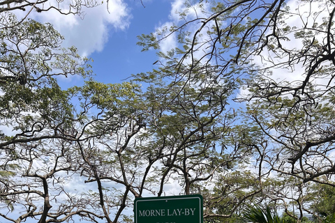 Airport Transfers: Saint Lucia's Luxury Taxi Airport Transfers: Your Direct Route To Comfort