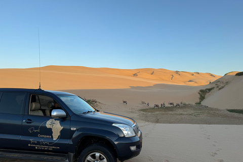 Walvisbay: Sandwich Harbour 4x4 Tour-Unparalleled Experience
