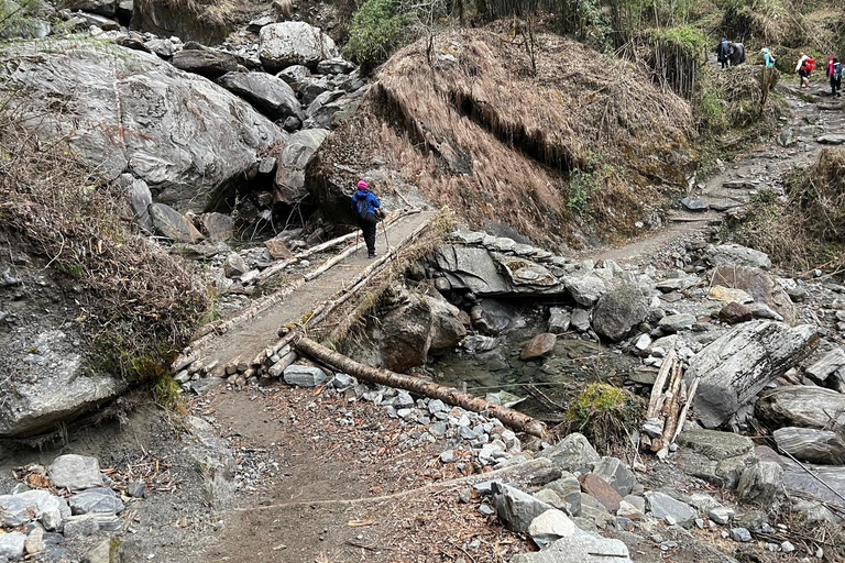 Från Pokhara: 7-dagars vandring i Annapurna Base Camp