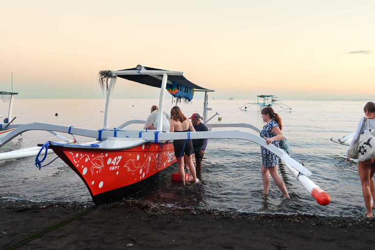 North Bali: Dolphin Swim, Snorkeling, & Waterfall Cliff Jump Small Group With Hotel Transfer Central Bali