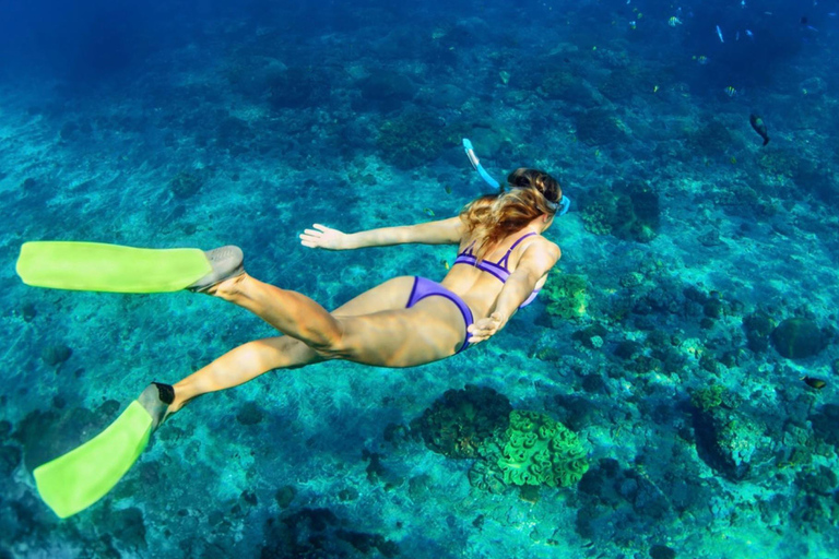 Bali: Blue Lagoon &amp; Tanjung Jepun Snorkeling TicketsSnorkelling only ( NO Lunch Option )