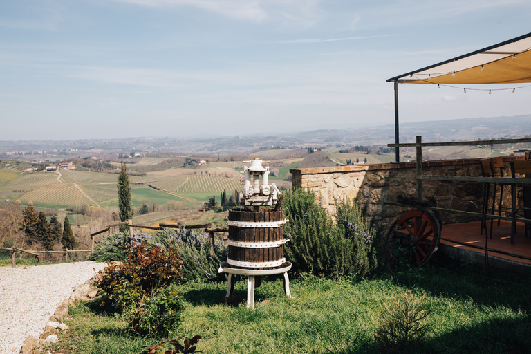 Firenze: Pisa, Siena, San Gimignano e l&#039;esperienza del Chianti