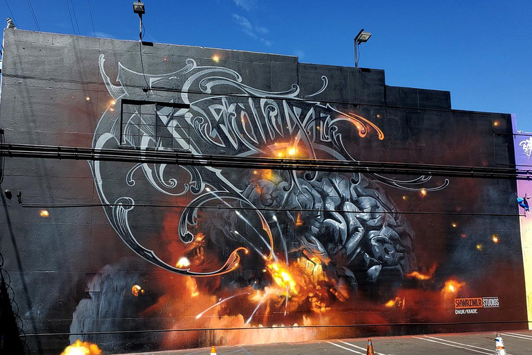 لوس أنجلوس: جولة بالدراجة لمشاهدة فن الجرافيتي والجداريات في منطقة الفنون