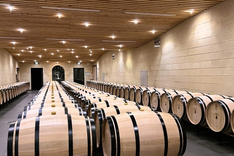 Desde Burdeos: cata de vinos en Saint-Émilion