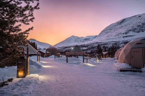 Från Tromsö: Renkälkåkning på Camp Tamok under dagtid