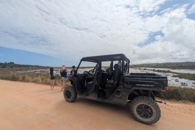 Guided buggy Passenger tour Alvor Ria wetlands
