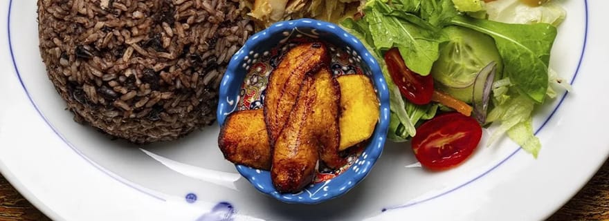 Cuisine dominicaine, rhum et dégustation de bière