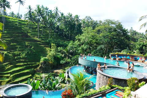 Bali: Escursione privata di un giorno alle cascate, al villaggio e al Pool Club di UbudBali: gita giornaliera privata alla cascata di Ubud, al villaggio e al pool club