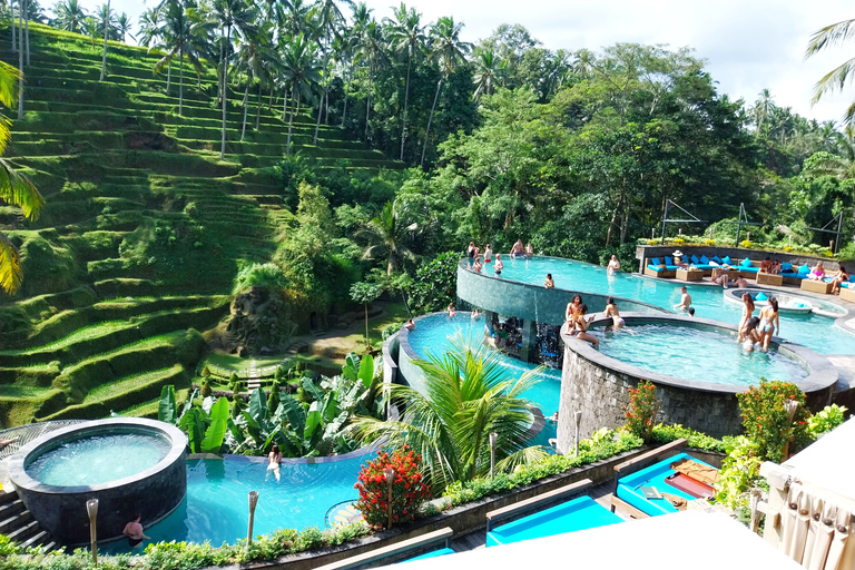 Bali: Escursione privata di un giorno alle cascate, al villaggio e al Pool Club di UbudBali: gita giornaliera privata alla cascata di Ubud, al villaggio e al pool club