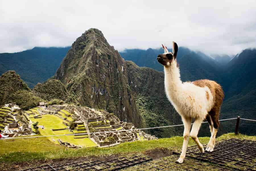 Aguas Calientes: Machu Picchu Offizielles Ticket, Bus, & Guide. Foto: GetYourGuide
