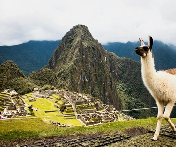Aguas Calientes: Ingresso oficial, autocarro e guia para Machu Picchu