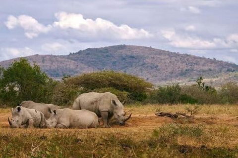 2 days 1 night saltlick safari from Diani/Mombasa.