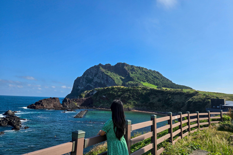 Jeju: Day Tour, Small Volcano & Landmark & UNESCO Heritage Private Day Tour 5hr (Just Car Charter/Not including ticket)