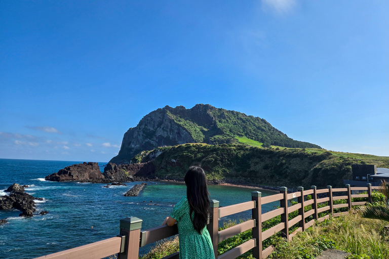 Jeju: Day Tour, Small Volcano & Landmark & UNESCO Heritage Private Day Tour 5hr (Just Car Charter/Not including ticket)