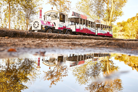 Toledo: Panoramic Tourist Train & Mirador Stop
