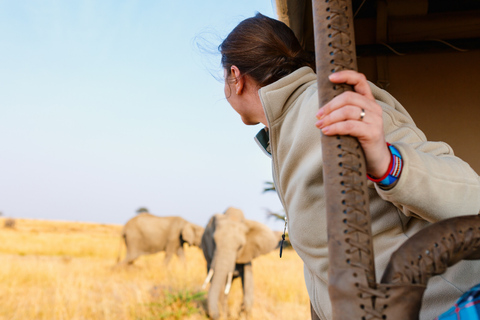 From Zanzibar: 1-Day Selous Safari with Flight & Lunch Selous Safari from Zanzibar – Without Transfer