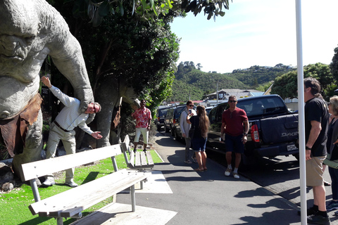 Wellington: Mezza giornata di visita alla città con giro in funivia