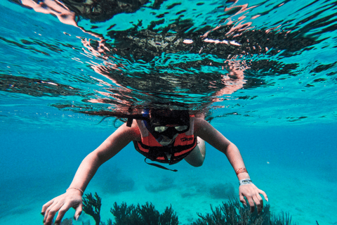 Tulum: Snorkeling at Paradise Reef