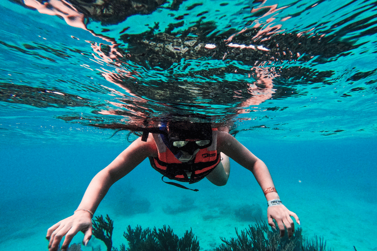 Tulum: Snorkeling at Paradise Reef