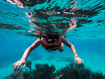 Tulum: 2 horas de mergulho com snorkel em dois pontos do recife de Tulum