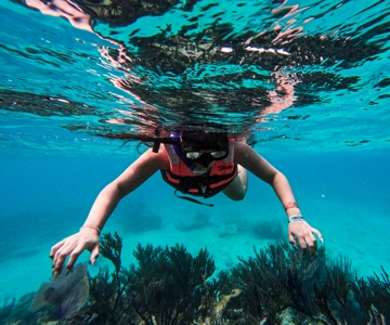 Tulum: 2-Hour Snorkeling in Two Spots of Tulum's Reef