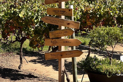Wine Day Tour: Discover 3 wineries in Casablanca
