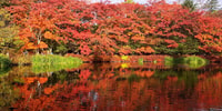 Tokyo,Karuizawa,Hoshino Resorts Area,Glacier Santuario Giorno Tour - Hizvo