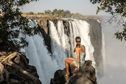 Victoria Falls: First Look Tour with Devil's Cataract Pool