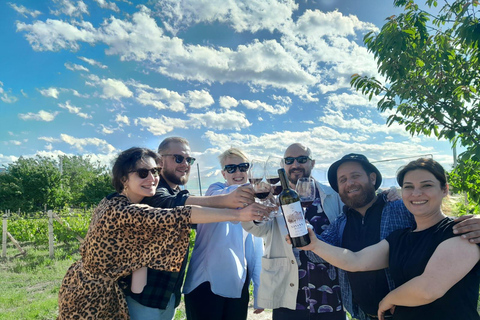 لوسارات: جولة في مصنع النبيذ جيڤاني وتجربة تذوق النبيذ