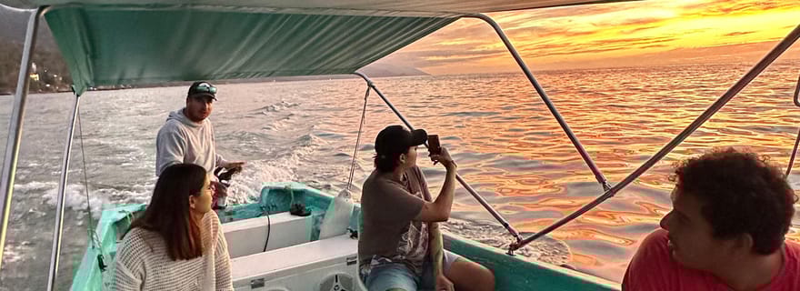 Puerto Vallarta : Bioluminescence dans le parc marin de Los Arcos