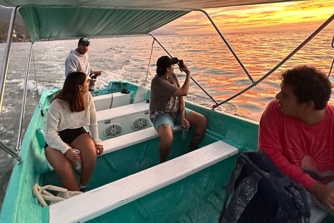 Puerto Vallarta: Bioluminescencja w Parku Morskim Los Arcos