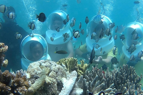 Snorkelling or Diving in Cham Island From Da Nang or Hoi An Group Tour
