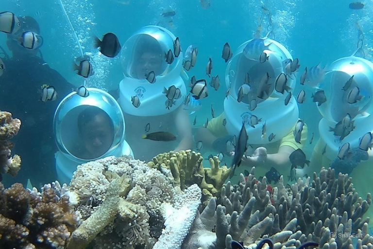 Snorkelling or Diving in Cham Island From Da Nang or Hoi An Group Tour