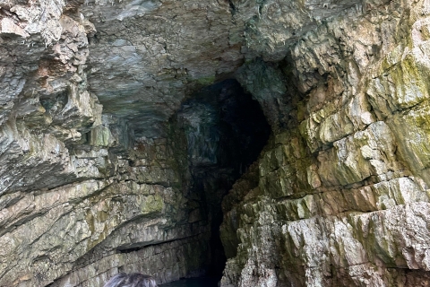 Kotor: Schnellbootfahrt zur Blauen Höhle und zur Muttergottes der Felsen